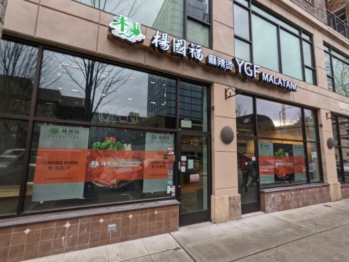 21619116048 YGF Brasil