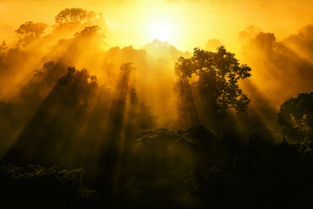Natura