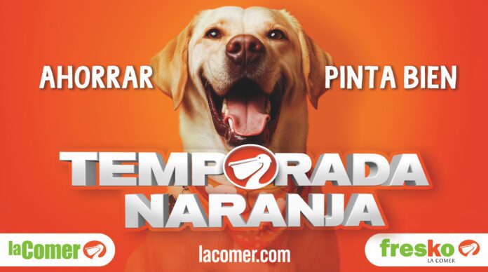 MasterTN-perro Grupo La Comer