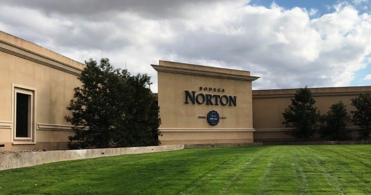 Bodega Norton