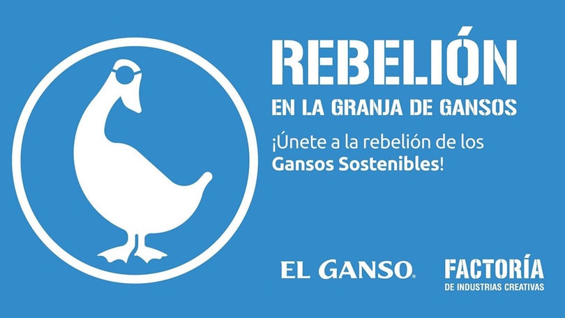 el ganso retail