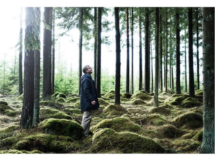 ¿Para qué ha comprado IKEA un bosque en Georgia (EE. UU.)? - Just Retail