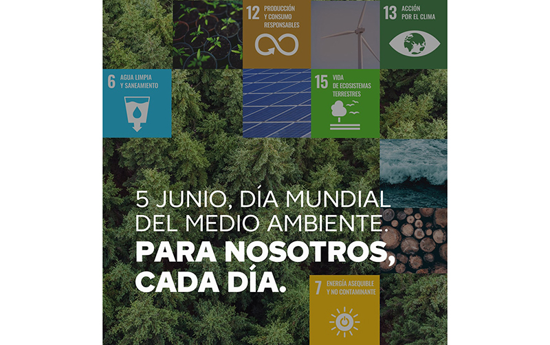 Brico Depôt Día del Medio Ambiente ODS noticias retail