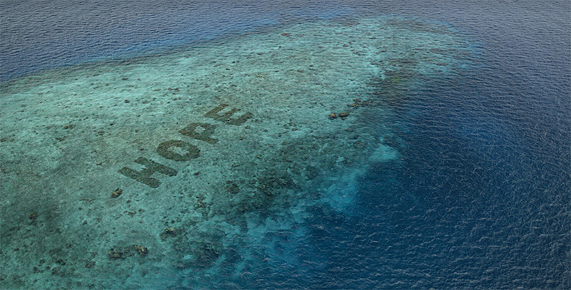 Mars Sheeba recuperación océanos arrecifes coral noticias retail