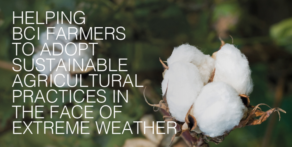 Tendam Better Cotton Initiative producción algodón noticias retail