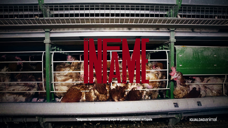 KFC campaña igualdad animal marketing noticias retail