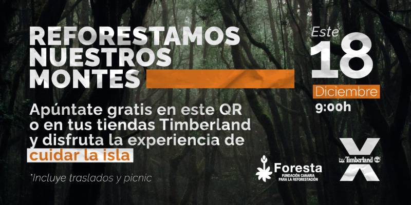 Timberland acción forestal