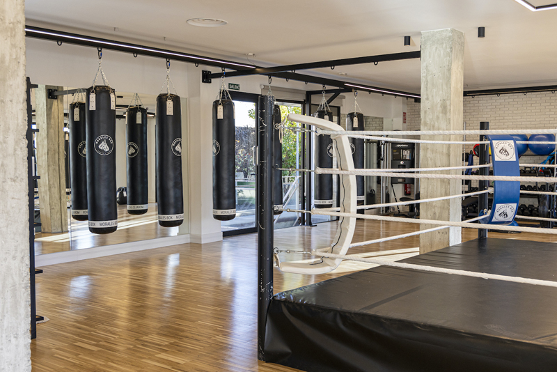 Morales Box Pozuelo gimnasio apertura