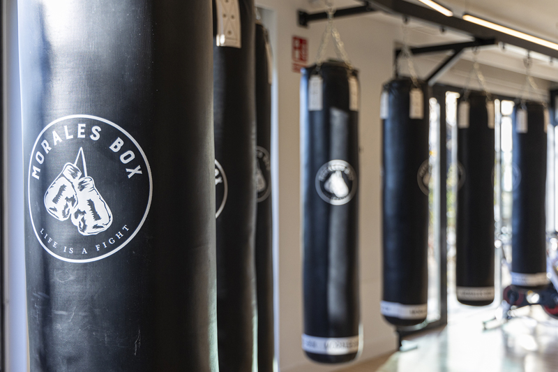 Morales Box Pozuelo gimnasio apertura