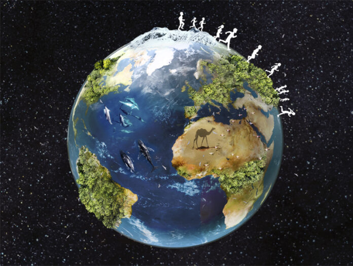 Hora del Planeta Carrefour Carmila