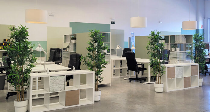 Espacio Sinergium Luz Shopping