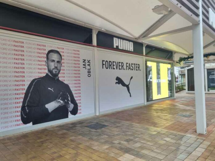 Puma Puma