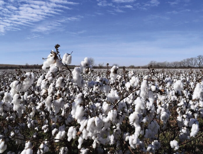 Cotton 1 US Cotton Trust Protocol