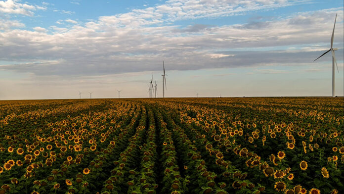 Amazon NextEra Energy Amazon renovables