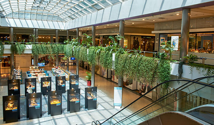 Moda Shopping 1 Moda Shopping