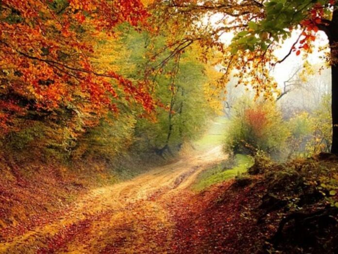 Naturaleza Naturaleza