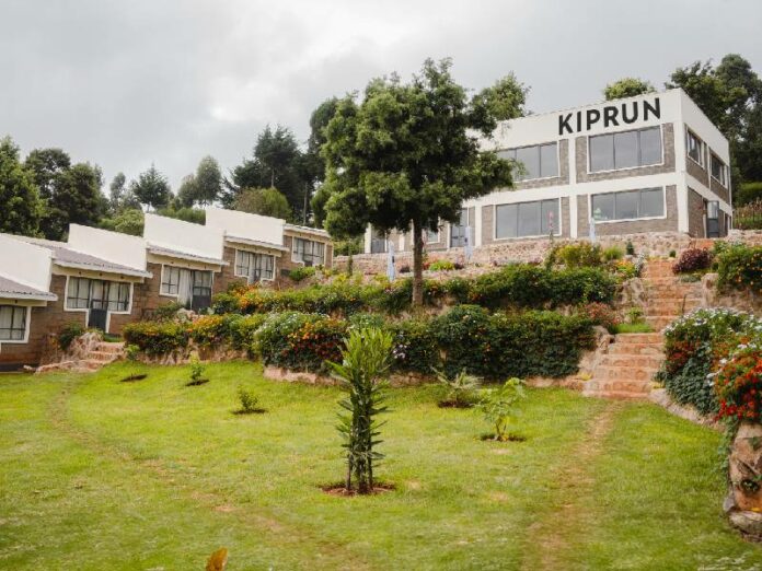 Kiprun Decathlon Kiprun Decathlon