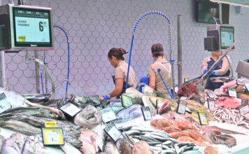 Family Cash abrirá su nuevo hipermercado en Jerez de la Frontera el próximo 27 de noviembre