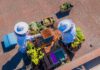Zenia Boulevard apuesta por la biodiversidad y la apicultura con la instalación de colmena de abejas