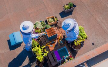 Zenia Boulevard apuesta por la biodiversidad y la apicultura con la instalación de colmena de abejas